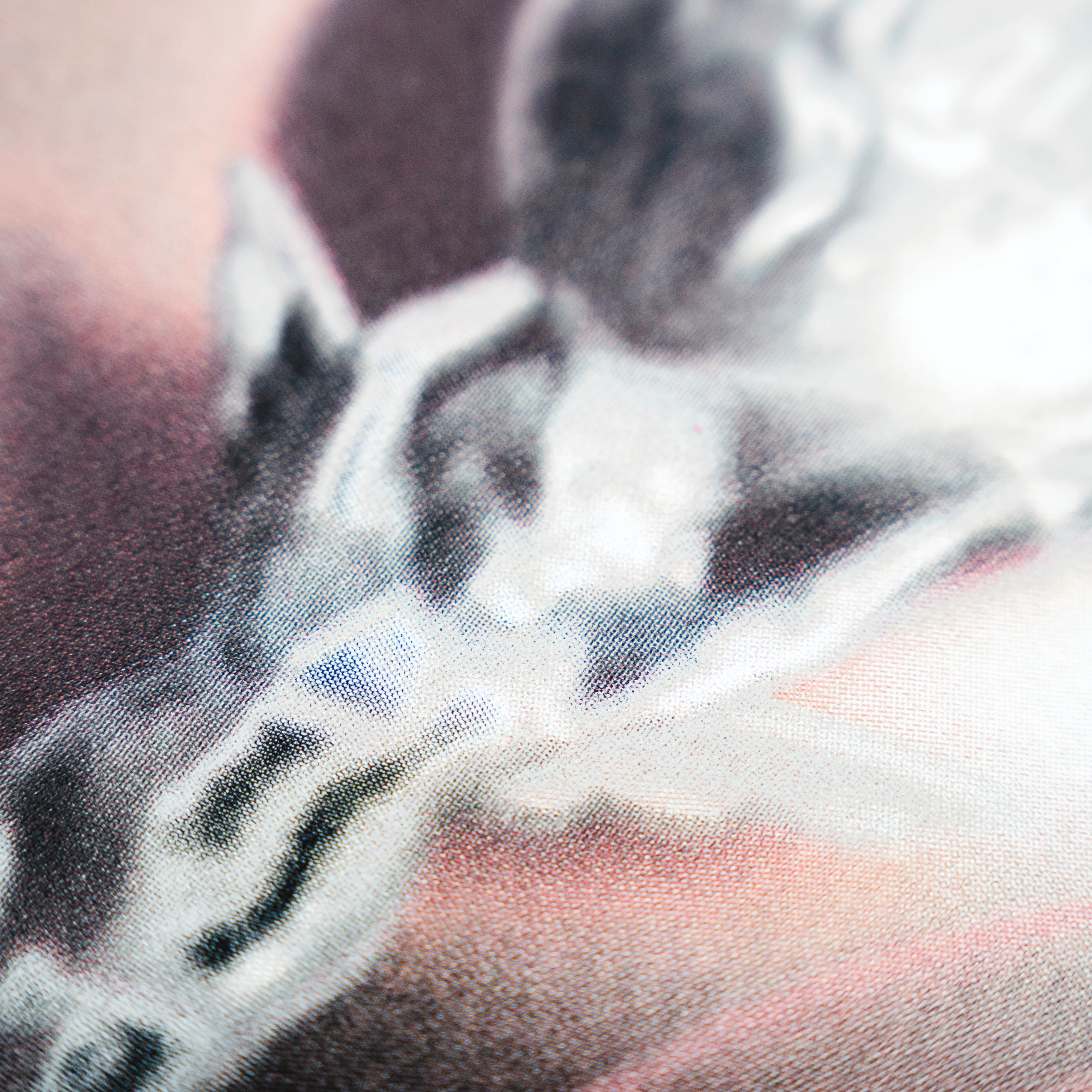 LUCID VICE TEE - Image 4