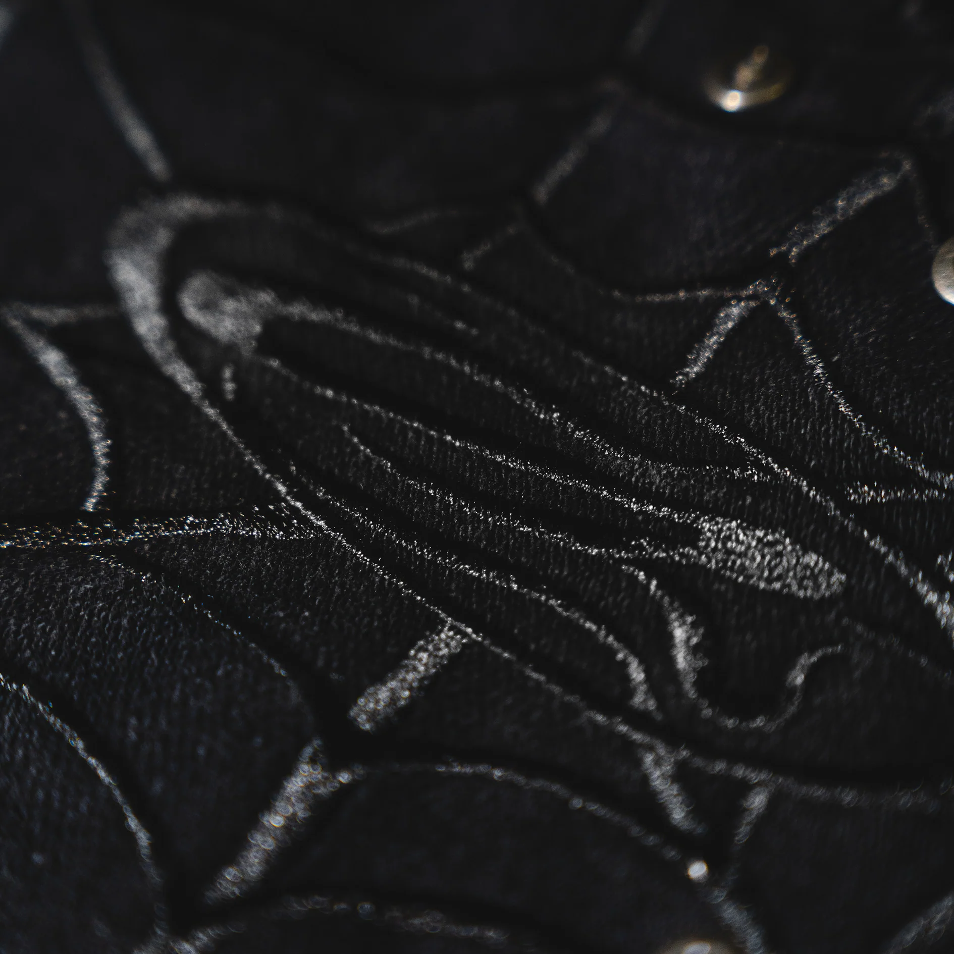 TANGLED SIGNAL SHORTS - Image 4